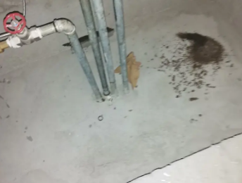 嵩县卫生间测漏水价格明细