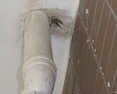 嵩县漏水检测哪家好